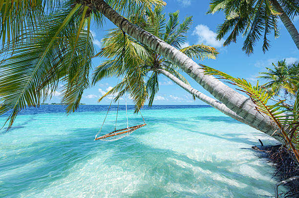istock Swing hanging from coconut palm tree on tropical beach by the turquoise sea 2223613294