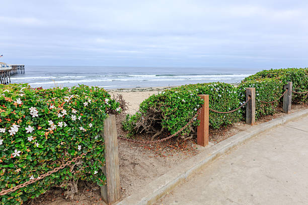 istock Pacific Beach in the Morning, San Diego, CA 2223613321