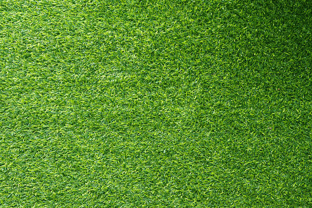 istock Top view of artificial grass for background 2223633045