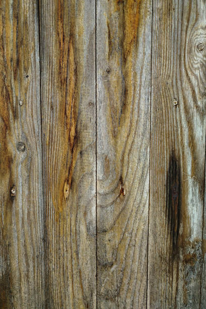 istock Golden Veins of Time 2223634315