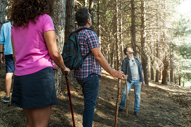 istock Group of hikers exploring a pine forest during a sunny day 2223636249
