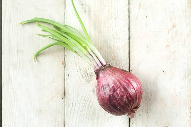 istock red onion on wooden table 2223637645