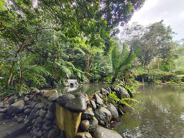 istock A beautifully integrated water system flows through a tranquil garden 2223640747