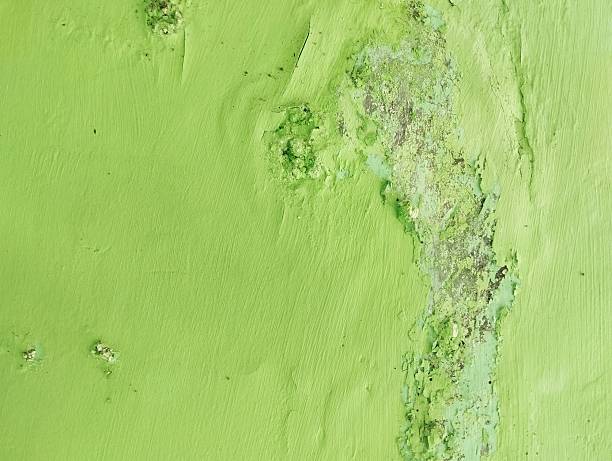 istock Abstrak grunge old wall weathered texture background 2223642489
