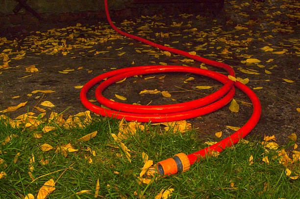 A bright red garden hose lies on wet ground covered with fallen autumn leaves. Part of the hose extends through green grass, creating a striking contrast.
