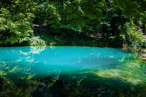 istock Balutopf deep lake in Black forest, Germany 2223643332
