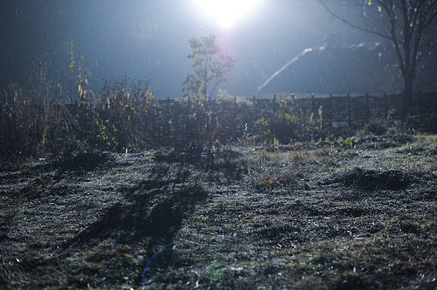 Mysterious Moonlit Field with Dazzling Light Reflections, Ambient Rainfall and Evocative Shadows Creating a Unique Atmosphere of Tranquility and Intrigue in Nature's Nighttime Beauty