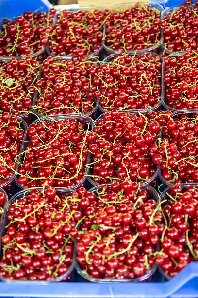 Fresh red currants arranged in transparent plastic containers at a local farmers market. The glossy, vibrant berries are still on the stem, showcasing their natural color and texture. Ideal for illustrating organic produce, seasonal fruits, and healthy eating.