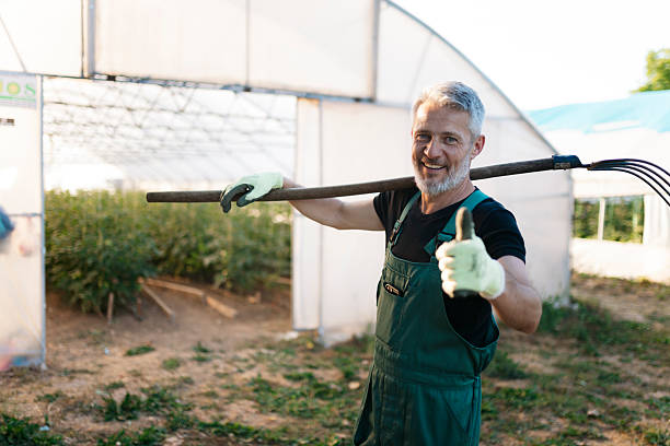 istock Farmer smiling and giving thumbs up while holding a pitchfork in a greenhouse 2223652470