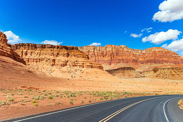 istock The stunningly American desert 2223653353