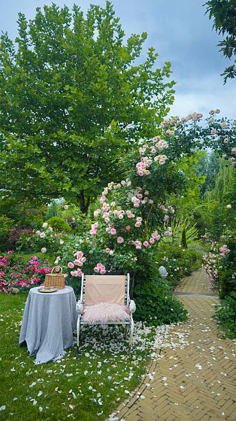 istock A Tranquil Garden Scene with Blooming Roses, a Cozy Chair, and a Charming Table Surrounded by Petals and Lush Greenery Under the Calm Cloudy Sky 2223653632