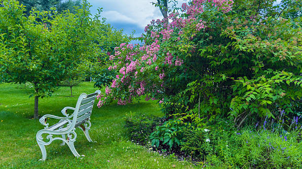 istock A Tranquil Garden Scene Featuring a White Bench Surrounded by Vibrant Blooms and Lush Greenery, Perfect for Relaxation and Nature Appreciation Under a Blue Sky 2223654928