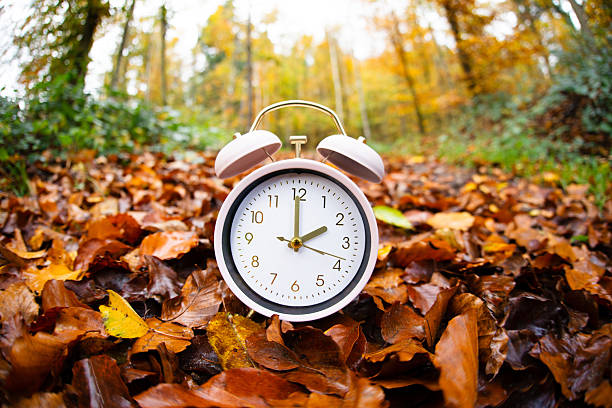 istock Winter time changeover, end of daylight saving time in autumn, alarm clock fall back switch,  forest with colorful foliage 2223655169
