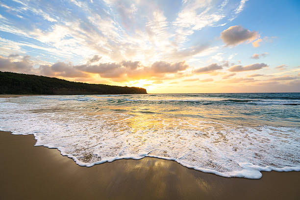 istock Scenic panoramic view of a beach at sunset with smooth waves rolling in 2223658007