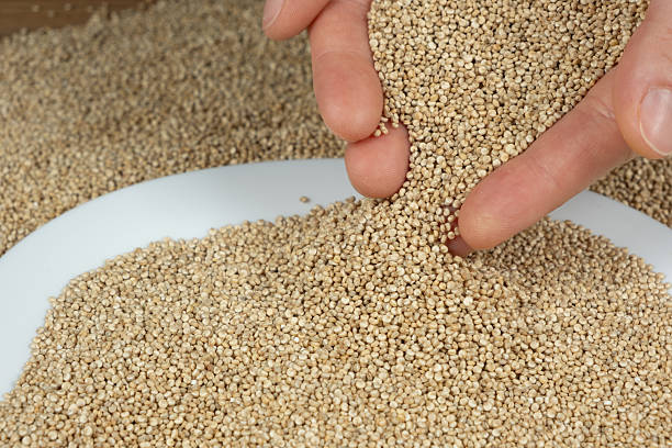 istock White Quinoa Seeds Pour. Healthy Superfood Texture. 2223659107