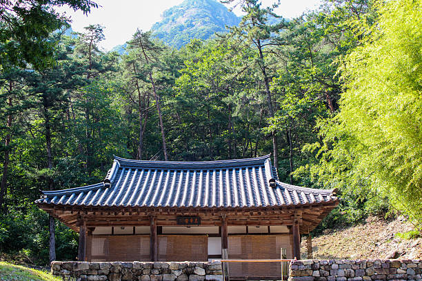 istock Hanok in the middle of the forest 2223659340