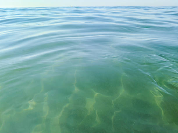 Glistening turquoise sea water surface gently waving under the warm sun on a tranquil summer day, creating a serene and peaceful atmosphere