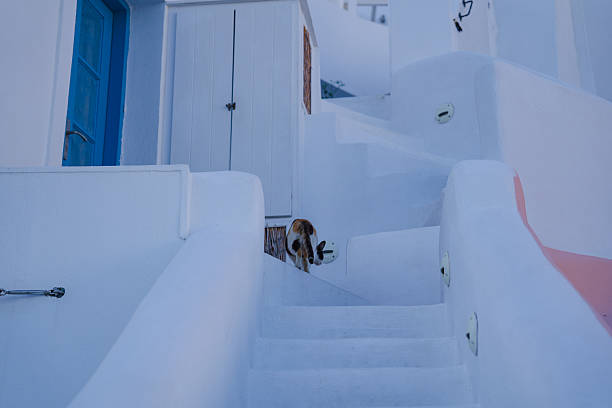 istock Beautiful sunset at Santorini in Greece 2223662958