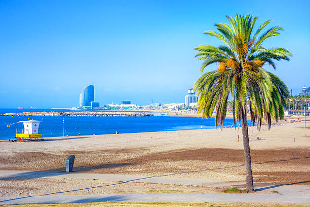 istock La Vila Olimpica in Barcelona 2223664729