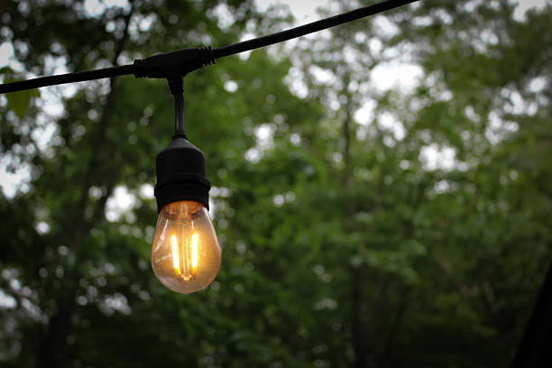istock a single, illuminated Edison-style bulb, part of an outdoor string light setup, hanging against a blurred background of green foliage 2223665414