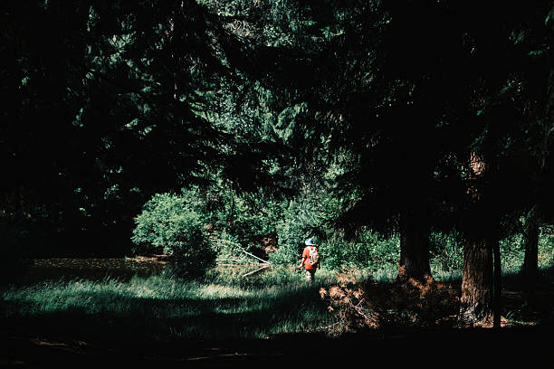 Woman is walking in summer forest and looking for wild berries