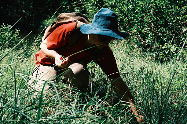 Woman is picking wild berries in summer forest