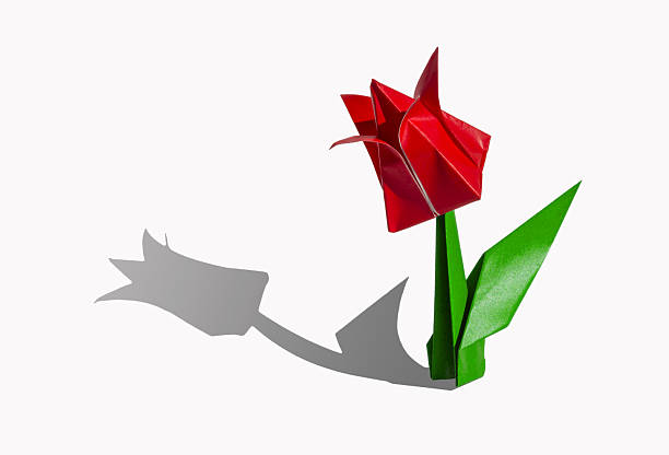 istock Origami red flower, tulip, isolated on white 2223666905