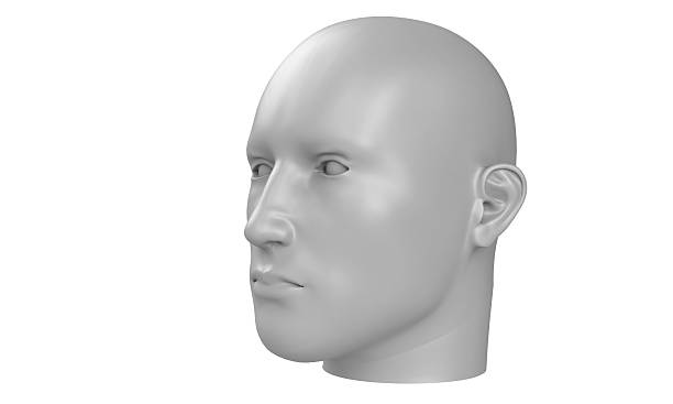 istock 3d model of a humane head with white skin isolated on white. it is a man face with bold head staring at various angles looking strait. 2223667190