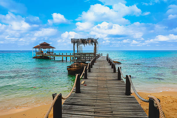 istock Wooden bridge extending to the beach 2223670440
