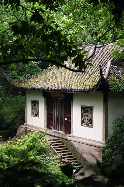 istock A temple in the forest 2223671350