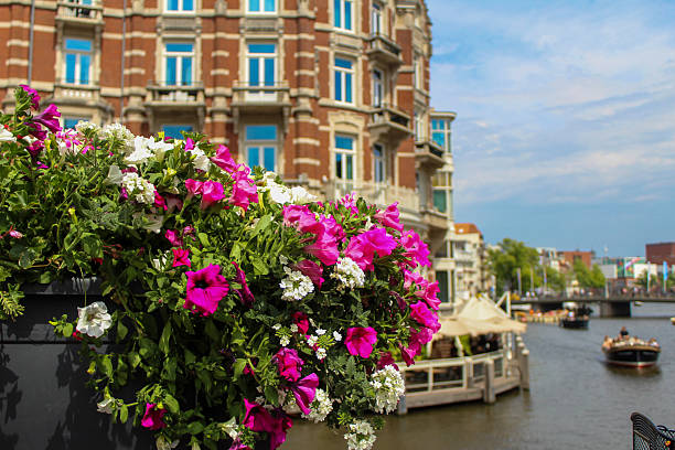 Pink and white flowers next to the canal in Amsterdam