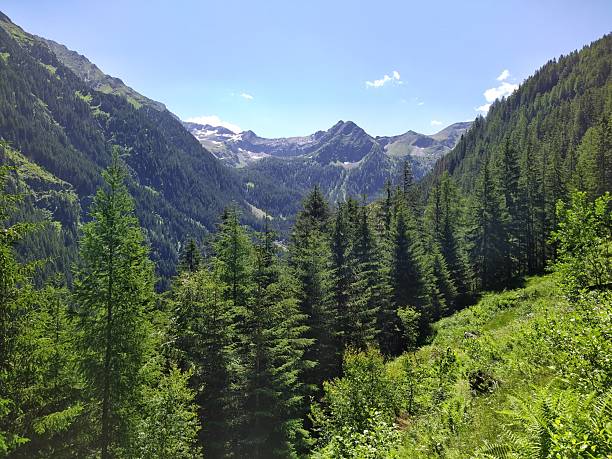 istock Scenic Alpine Valley with Forested Slopes and Distant Peaks 2223675657