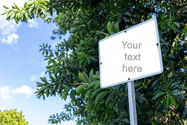 istock Blank Outdoor Sign with Space for Custom Text 2223679485