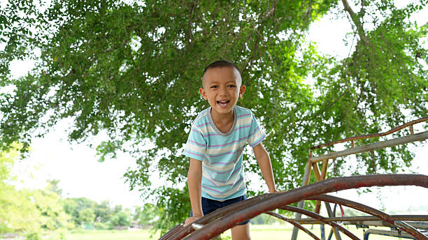 istock Cheerful young boy is playing on playground structure under large tree, enjoying sunny day outdoors. His smile radiates joy and innocence, capturing essence of childhood 2223680217