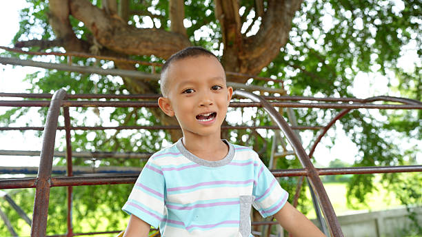 istock Cheerful young boy playing on playground structure, surrounded by greenery and sunlight, showcasing joy and innocence 2223680228