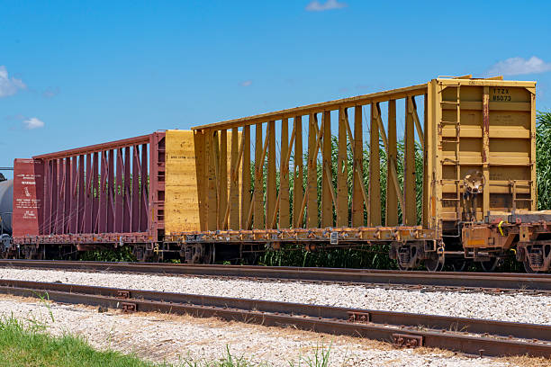 istock Two centerbeam cars sit idle in a rail siding 2223684264
