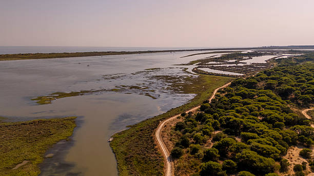 istock Where the Piedra River flows into the sea/ocean. 2223684692