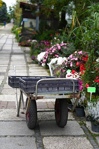 istock Trolley for transporting boxes with seedlings in the plant nursery. 2223686047