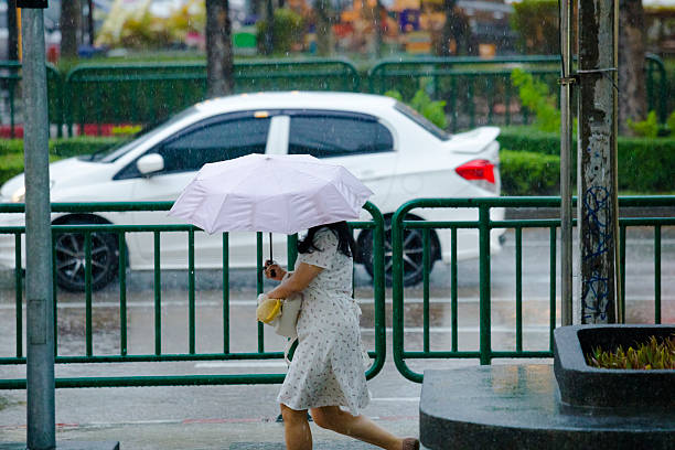 Profile view of thai woman in rain. Woman is wearinga dress and is walking with umbrella along sidewalk of major road in Bangkok. Scene is at Ratchadaphisek Road in business area between Street 23 and Esplanade building. Rainy season capture.  in fron tof her body she is holding bags. On street is rush hour traffic