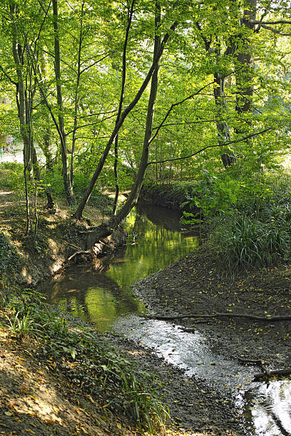 istock Turkey Brook in Hilly Fields Park, Enfield 2223688027