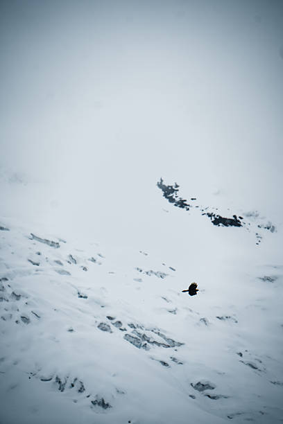 Glaciated mountains with crevasses,, Saas-Fee, Swiss Alps