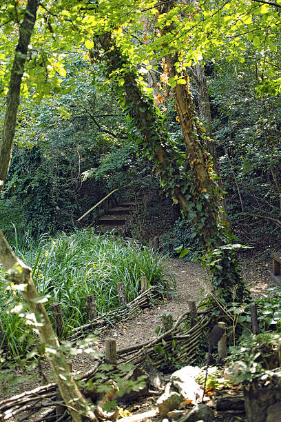 istock Camley Street Natural Park 2223692023
