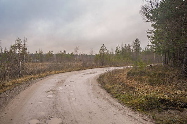 Gravel road turning into a forest with a bog swamp next to it, Latvia