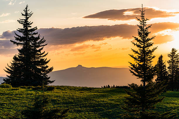 Castle Peak Sunset with Wildflowers in Summer - Scenic mountain landscape with summer views looking toward the Castle Peak Wilderness Study Area.