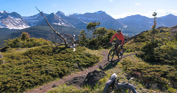 istock Young man mountain bikes trail on mountain top 2223701303