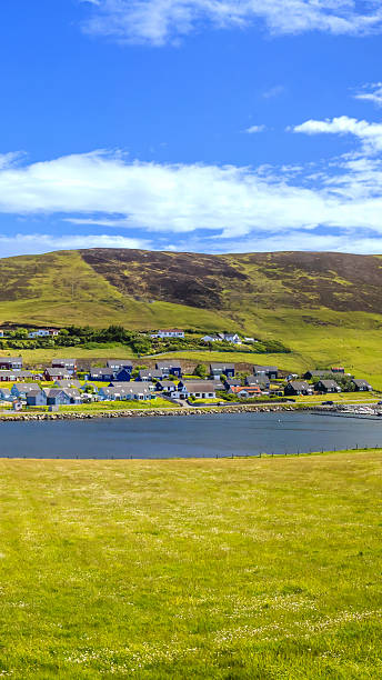 istock Scotland Shetland scenery in England with cliffs, ocean views and green pastures 2223704014