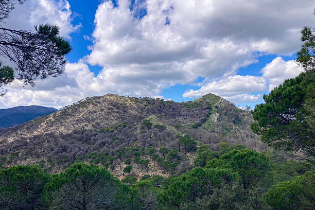 istock Panoramic view unfolds from the scenic hiking path leading to Mijas pea 2223710145