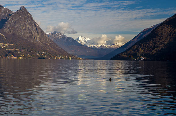 Awe  winter view on lake Lugano, European Alps , duck swimming, Im distance  Italian Alps (Dolomites). Village Albogasio at left coast of Lugano lake