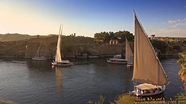 istock felucca boats on Nile river in Aswan Egypt 2223715530