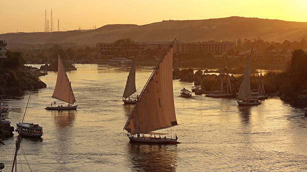 istock felucca boats on Nile river in Aswan at sunset 2223716334